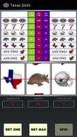 Free Texas Slots captura de pantalla 1