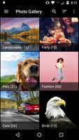 CCP Photo Gallery Pro Plakat