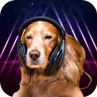 Relax Music for Dog Anxiety icône