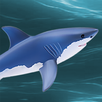 APK The Last Shark