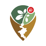 Du lịch Nam Trà My icon