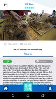 Du lịch Nam Trà My 截图 3
