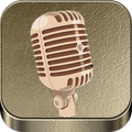 Professional Voice Recorder