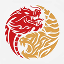 Dragon Tiger Noodle Co-APK