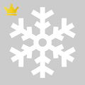 Snow Removal Pro