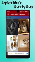 Cat In a Box Wallpaper تصوير الشاشة 1