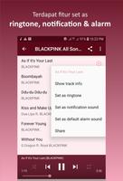 Blackpink All Songs - Kill This Love screenshot 2