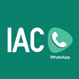 Ir al Chat - Whatsapp