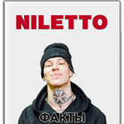 NILETTO-icoon