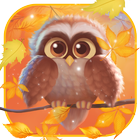 Cute Owl Live Wallpaper icône