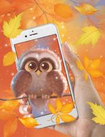 Cute Owl Live Wallpaper Affiche