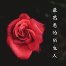 APK 《最熟悉的陌生人》-超好看言情小說