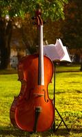 Cello Wallpaper Ekran Görüntüsü 3