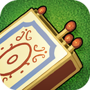 Puzzles with Matches APK