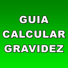 Guia Calcular Gravidez icône