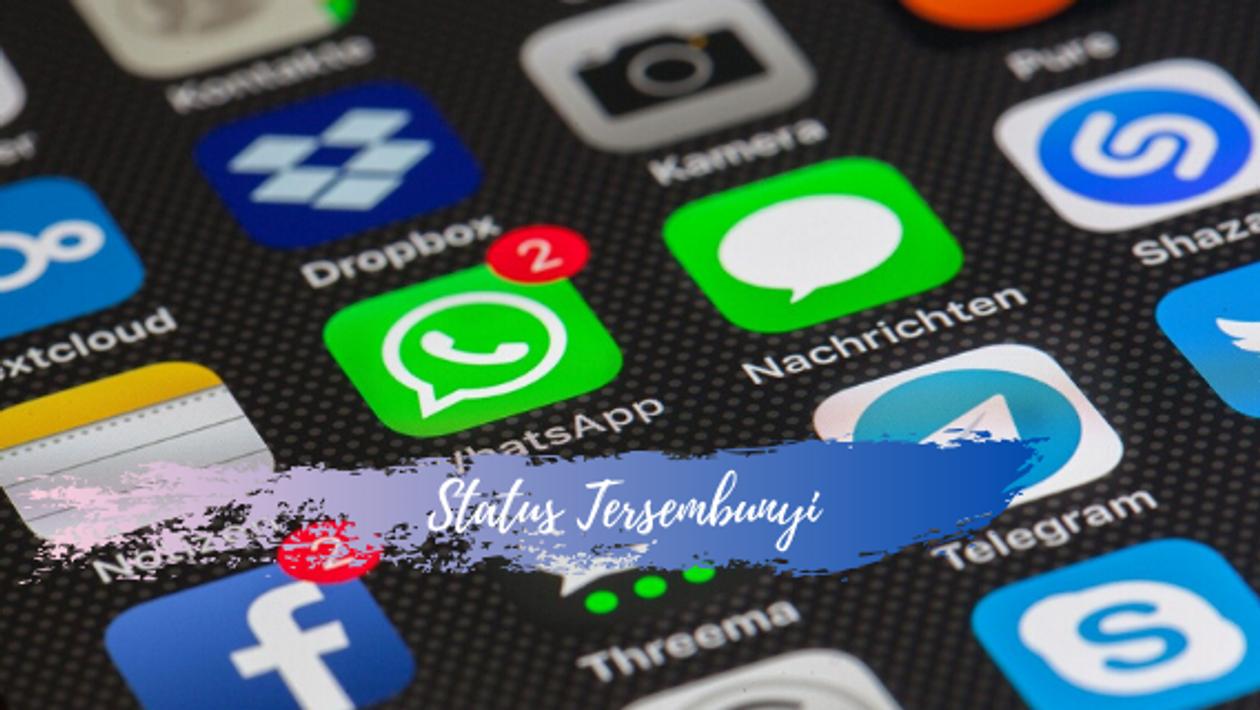 Cara Melihat Status WA Yg Disembunyikan untuk Android - Muat Turun APK