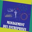 Management des Entreprises - L