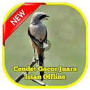 Cendet Gacor Juara Isian Offline APK
