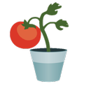 Urban veggie garden APK