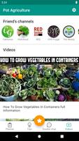 Urban veggie garden স্ক্রিনশট 1
