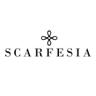 Central Force ícone