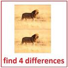 images differences game ikona