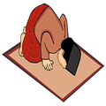 ”Panduan Sholat Fardu Sunnah