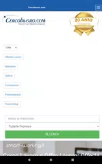 Cerco Lavoro XAPK download