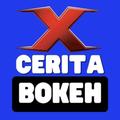 Cerita Bokeh Museum