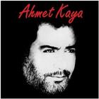 Ahmet Kaya Seçmeler 图标