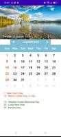 USA Calendar poster