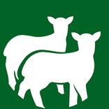 MelovApp