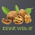 ikon Ceviz