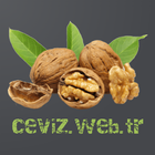 Ceviz icon