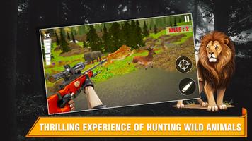 Deer Hunting Games:3D Shooting poster