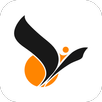 CEF APK