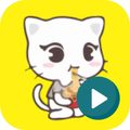 Cute Cats Animated Stickers