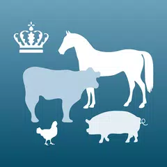 CHR