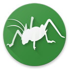 ikon Bugs of New Zealand Free