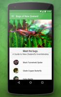 Bugs of New Zealand Free poster