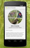 Birdlife of Australia poster