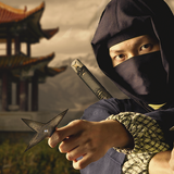 Ninja Assassin Samurai Hunter icône
