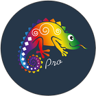 Chameleon VPN icono