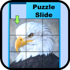 Picture Puzzle icône