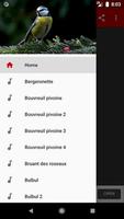 bird sounds syot layar 1