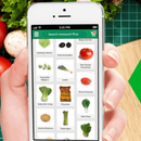 Dummy android grocery application aplikacja