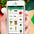 Dummy android grocery application APK