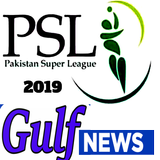 Gulf Cricket icon