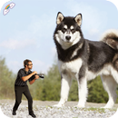 Big Camera Photo Editor APK