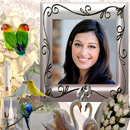 Love Birds Insta DP APK